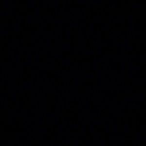 Meet your Posher, Alisson